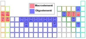 oligoelementi_tabella