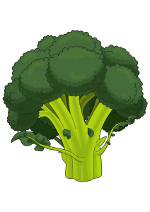 kisspng-broccoli-drawing-pdf-cauliflower-lettuce-5b083753b08557.747965711527265107723